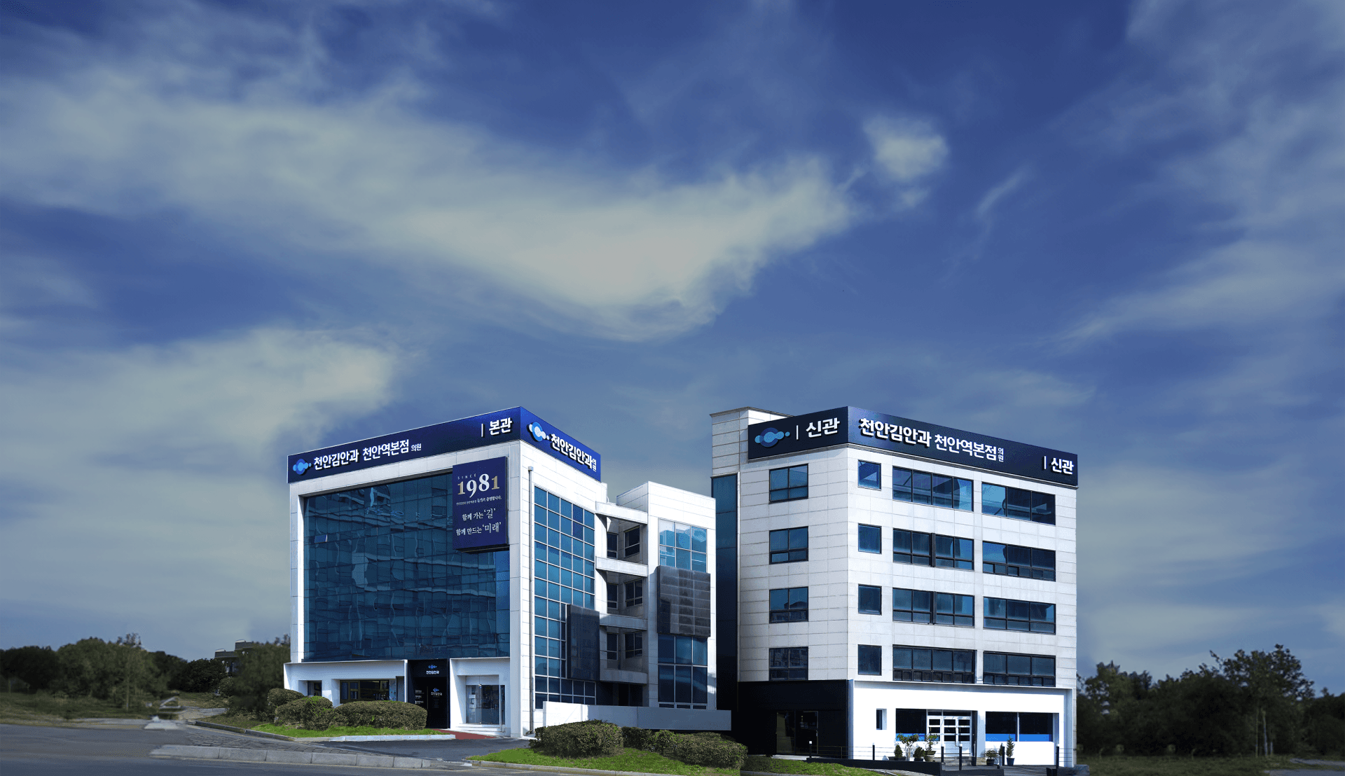 1981年から、目だけを見つめてきました