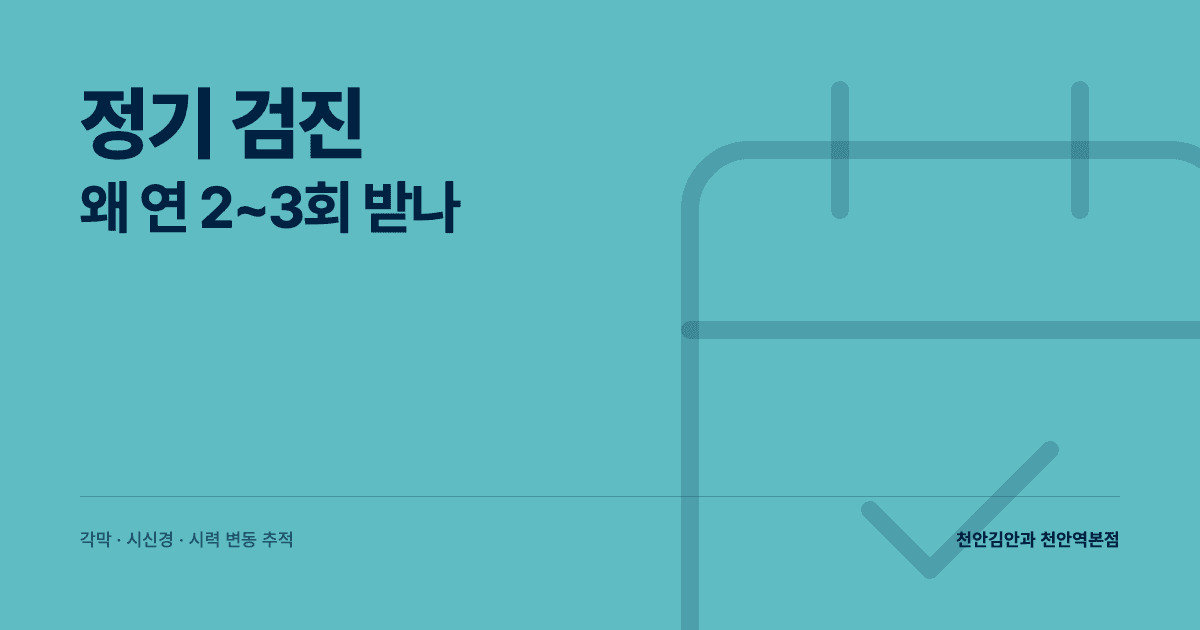 라식·라섹 수술 후 정기 검진 — 왜 연 2~3회 받나